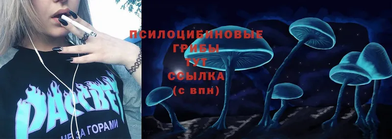 наркота  Елабуга  mega онион  Галлюциногенные грибы Psilocybine cubensis 